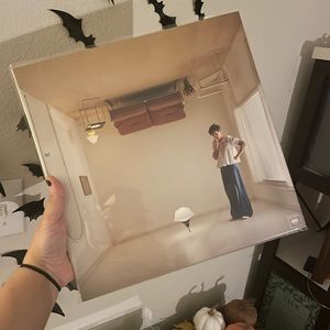 harry's house vinyl